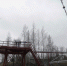 Фото: ПАИ - InformPskov.Ru