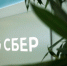 На Сбер во II квартале совершили 32 DDoS-атаки - Pln-Pskov.Ru