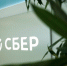 Сбер скоро запустит собственный определитель номеров для мессенджеров - Pln-Pskov.Ru