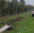 Легковой автомобиль вылетел в кювет и опрокинулся в Печорском районе. ФОТО - Pln-Pskov.Ru