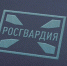 За неделю росгвардейцы провели 62 проверки обеспечения сохранности оружия и патронов у граждан - Росгвардия