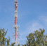 МегаФон запустил LTE в Полистовском заповеднике. Фото: ПАО «Мегафон» - InformPskov.Ru