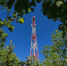 В Полистовском природном заповеднике стало доступно LTE - Pln-Pskov.Ru