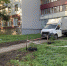 Интерактив: Месиво вместо газона - Pln-Pskov.Ru