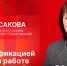 Начинается видеотрансляция программы «Беседка» с директором Госархива Псковской области - Pln-Pskov.Ru