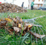 Подметалы - Pln-Pskov.Ru