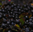 Фото: ПАИ - InformPskov.Ru