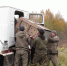 Медведиц Фасолинку и Горошинку выпустили на волю в Полистовском заповеднике - Pln-Pskov.Ru