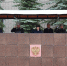 Лучших сотрудников наградили в Псковском филиале Университета ФСИН России  - InformPskov.Ru