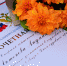 В честь Дня судебного пристава в УФССП России по Псковской области прошло торжественное  мероприятие - УФССП