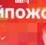 «Хайпожоры»: Псковские боты — кому и зачем? ВИДЕО - Pln-Pskov.Ru