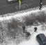 Кусты сирени спиливают на улице Розы Люксембург в Пскове. ВИДЕО - Pln-Pskov.Ru