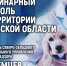 Фото: ПАИ - InformPskov.Ru