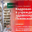 Начинается видеотрансляция онлайн-брифинга о кадровой ситуации в учреждениях здравоохранения Псковской области - Pln-Pskov.Ru