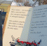 Памятник поэту Сергею Каширину открыли в Гдове. Фото здесь и далее: газета «Гдовская заря» - InformPskov.Ru