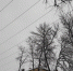 Световой потолок монтируют на улице Пушкина в Пскове. ФОТО - Pln-Pskov.Ru