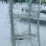 Вандалы разорвали гирлянду на новогодней арке в Великих Луках - Pln-Pskov.Ru