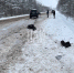 Пенсионерка пострадала в ДТП в Новосокольническом районе. Фото здесь и далее: Telegram-канал «ПАИ. Псковская сводка» - InformPskov.Ru