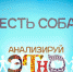 Начинается видеотрансляция программы «Анализируй этно»: «Съесть собаку» - Pln-Pskov.Ru