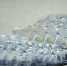 Большинство россиян тратят на алкоголь к Новому году в среднем 3,5 тысячи рублей - Pln-Pskov.Ru