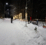 Новогодние украшения появились в центральном парке Куньи - InformPskov.Ru