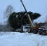 Главную новогоднюю ель доставили в город Дно - Pln-Pskov.Ru