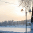 Псковичам дали советы, как прожить самый короткий день в году. Фото: ПАИ - InformPskov.Ru