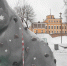Коты-скалодромы появились в Пскове - Pln-Pskov.Ru