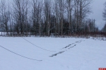 Полугорожане