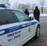 Уголовные дела возбуждены по итогам противоугонной акции «Авто-VIN» в Псковской области - Pln-Pskov.Ru