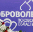 Михаил Ведерников: В этом году в сфере добровольчества сделано рекордно много - Pln-Pskov.Ru