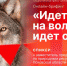 Начинается видеотрансляция онлайн-брифинга об охоте в Псковской области - Pln-Pskov.Ru