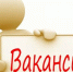 Комитет приглашает на работу!!! - Комитет по природным ресурсам и экологии