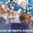Почти четверть россиян монетизировали свое хобби - Бизнес-инкубатор