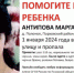 В Порховском районе продолжаются мероприятия по установлению местонахождения пропавшей девочки - Следственный комитет