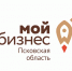 Более 2,3 тыс. самозанятых и субъектов МСП воспользовались поддержкой центра «Мой бизнес» в 2023 году - Псковская правда
