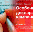 Начинается видеотрансляция онлайн-брифинга об особенностях декларационной кампании-2024 - Pln-Pskov.Ru