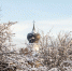 До -9 градусов прогнозируют в Псковской области 15 февраля. Фото: ПАИ - InformPskov.Ru