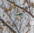 Фото: музей-заповедник «Изборск» - InformPskov.Ru