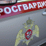 Великолукские росгвардейцы задержали подозреваемого в двух магазинных кражах. Фото: пресс-служба Управления Росгвардии по Псковской области - InformPskov.Ru