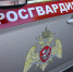 В Великих Луках росгвардейцы задержали подозреваемого в кражах - Росгвардия