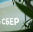Более 20 млн рублей взяли псковичи в Сбере на образование в 2023 году - Pln-Pskov.Ru