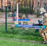 Псковские парки начнут обрабатывать от клещей с 11 апреля. Фото: пресс-служба администрации Пскова - InformPskov.Ru