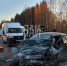 Опубликованы подробности смертельного ДТП в Пушкиногорском районе. Фото: Telegram-канал «Псковская сводка. ПАИ» - InformPskov.Ru