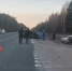 В ДТП В Пушкиногорском районе погибли два человека - ГТРК Псков
