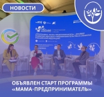 Объявлен старт программы «Мама-предприниматель»