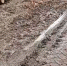 Лесовозы разбили дорогу в псковскую деревню. ВИДЕО - Pln-Pskov.Ru