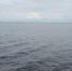 Запрет выхода на водоемы на моторных лодках введут в Псковской области с 15 апреля - Pln-Pskov.Ru