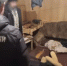 Пскович предстанет перед судом за смертельное избиение сожительницы рулом упаковочной пленки - Pln-Pskov.Ru