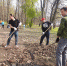 Два общегородских субботника пройдут в Великих Луках. Фото: ПАИ - InformPskov.Ru